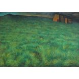Orlob, Bernward. (Graslandschaft mit zwei Gebäuden). Öl / Acrylmalerei (Mischtechnik) auf