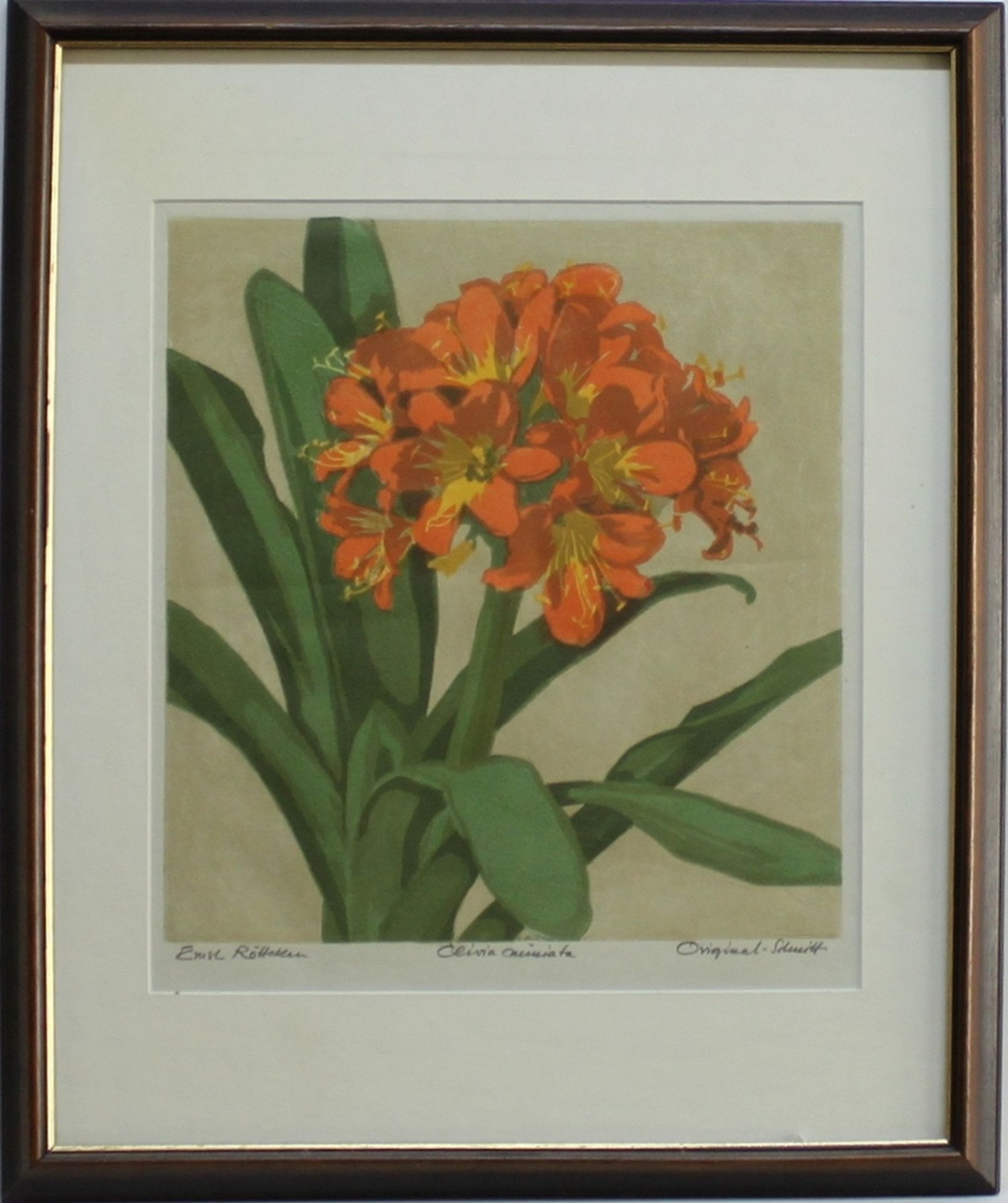 Rötteken, Ernst. “Clivia miniata“. Farbiger Linolschnitt (Mischtechnik). Signiert unten links "Ernst