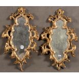 Paar Barock-Spiegel. Italien 18. Jh. Holz, geschnitzt, auf Kreidegrund vergoldet, H=je 54 cm, B=je