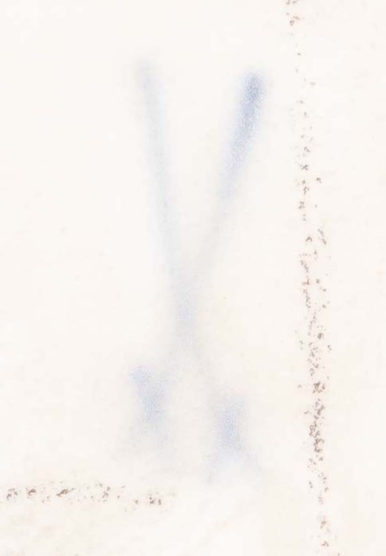 V-förmige Rocaille-Konsole. Meissen 20. Jh. Porzellan, weiß glasiert, verso blaue Schwertermarke, - Bild 2 aus 2