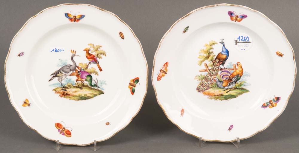 Paar Teller. Meissen 19. Jh. Porzellan, bunt bemalt mit Federvieh und Insekten, am Boden