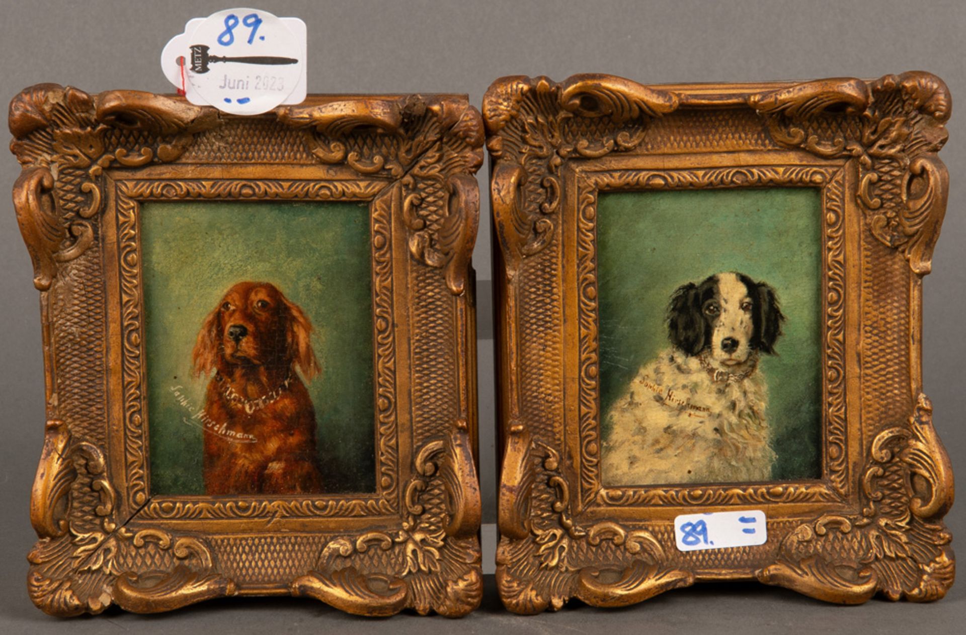 Sophie Hirschmann (1871-1937). Zwei Hundeportraits. Öl/Holz, li./mittig sign., gerahmt, je 10 x 8