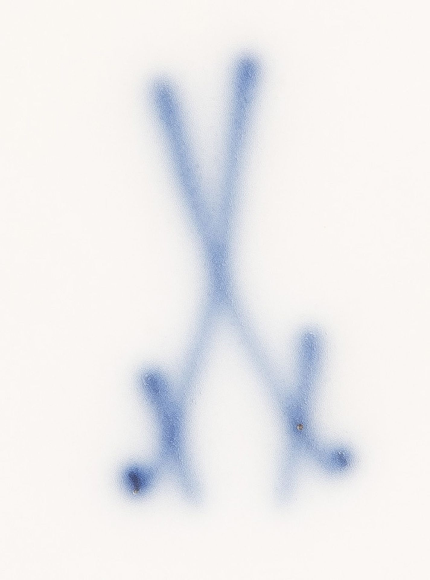 Teller „Sulkowskirelief“. Meissen 19. Jh. Porzellan, bunt bemalt mit fliegendem Eichhörnchen, - Bild 2 aus 2