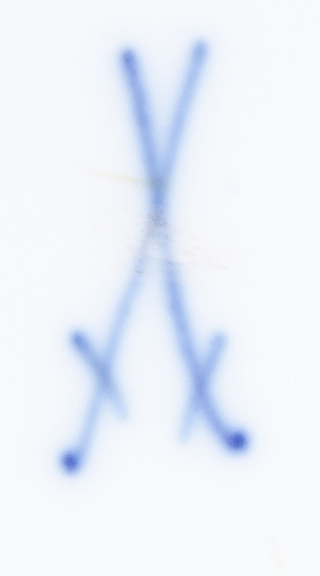 Großes Speiseservice „Neubrandensteinrelief“ (67 Teile). Meissen 19. Jh. Porzellan, blau bemalt - Image 2 of 2