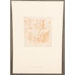 Wilhelm von Kobell (1766-1855). Porträt eines Bullenkopfes. Rötelzeichnung, verso sign., in