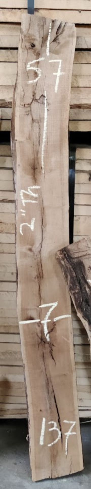 Mesquite Slab