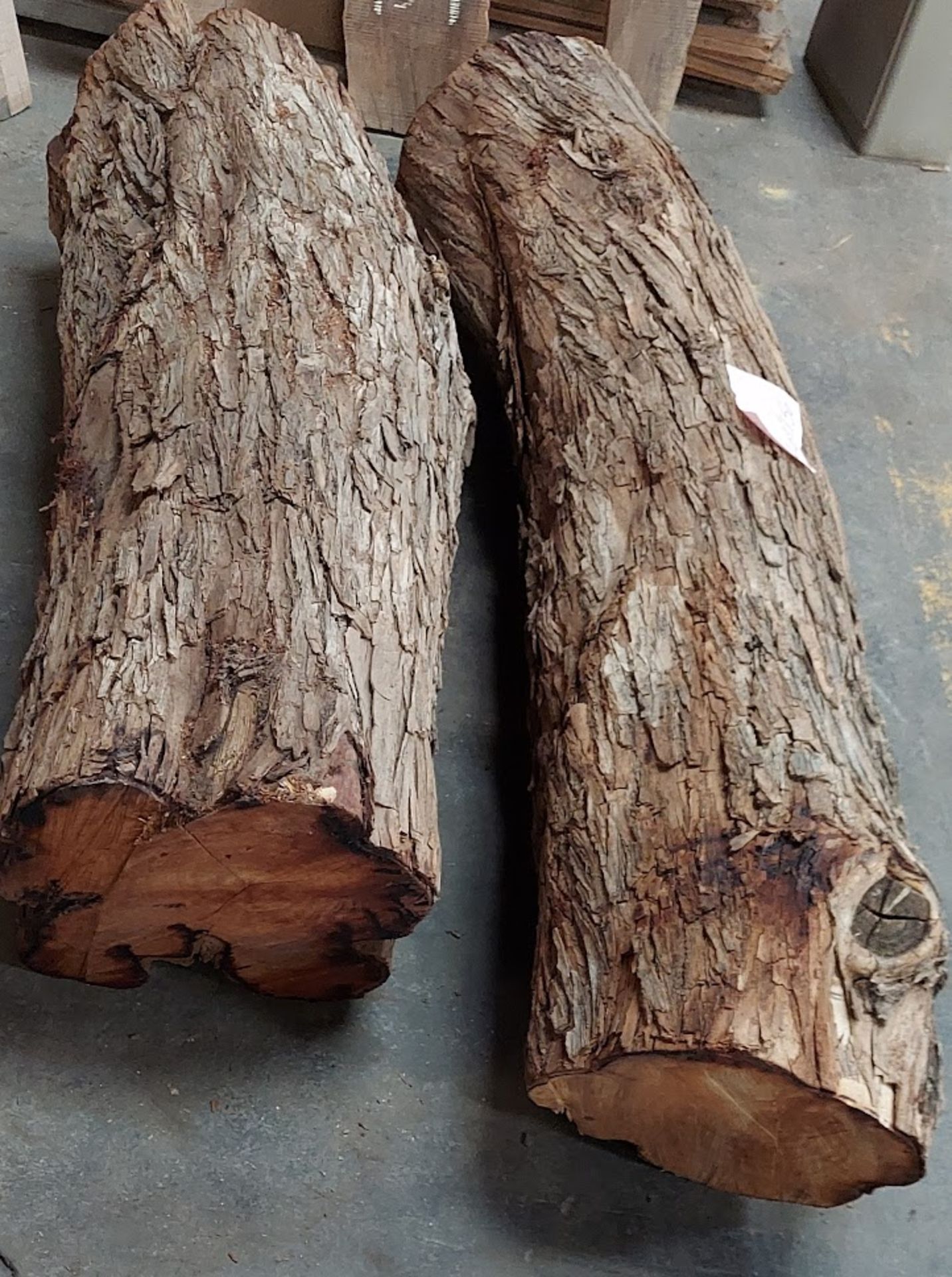 Lot of 2 Mesquite Logs 52" L x 15" Dia and 64" L x 14" Dia - Image 3 of 3
