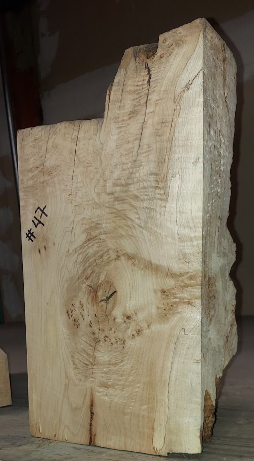 Spalted Curly Maple with Burls, 9" x 4" x 15"