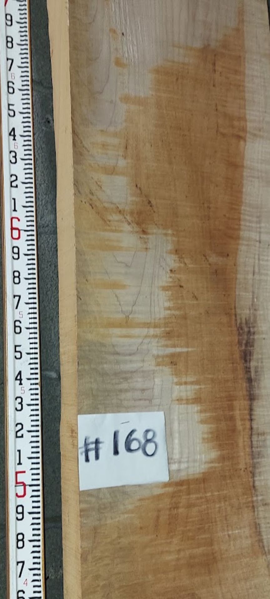 Maple Hardwood Lumber Slab, Size is approx. 101" x 12" x 2-3/4" Thick, Curly (Book Matched 169) - Image 2 of 2