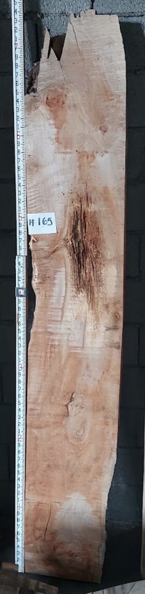 Maple Hardwood Lumber Slab, Size is approx. 89" x 13" - 15" x 2-5/8" Thick, Curly
