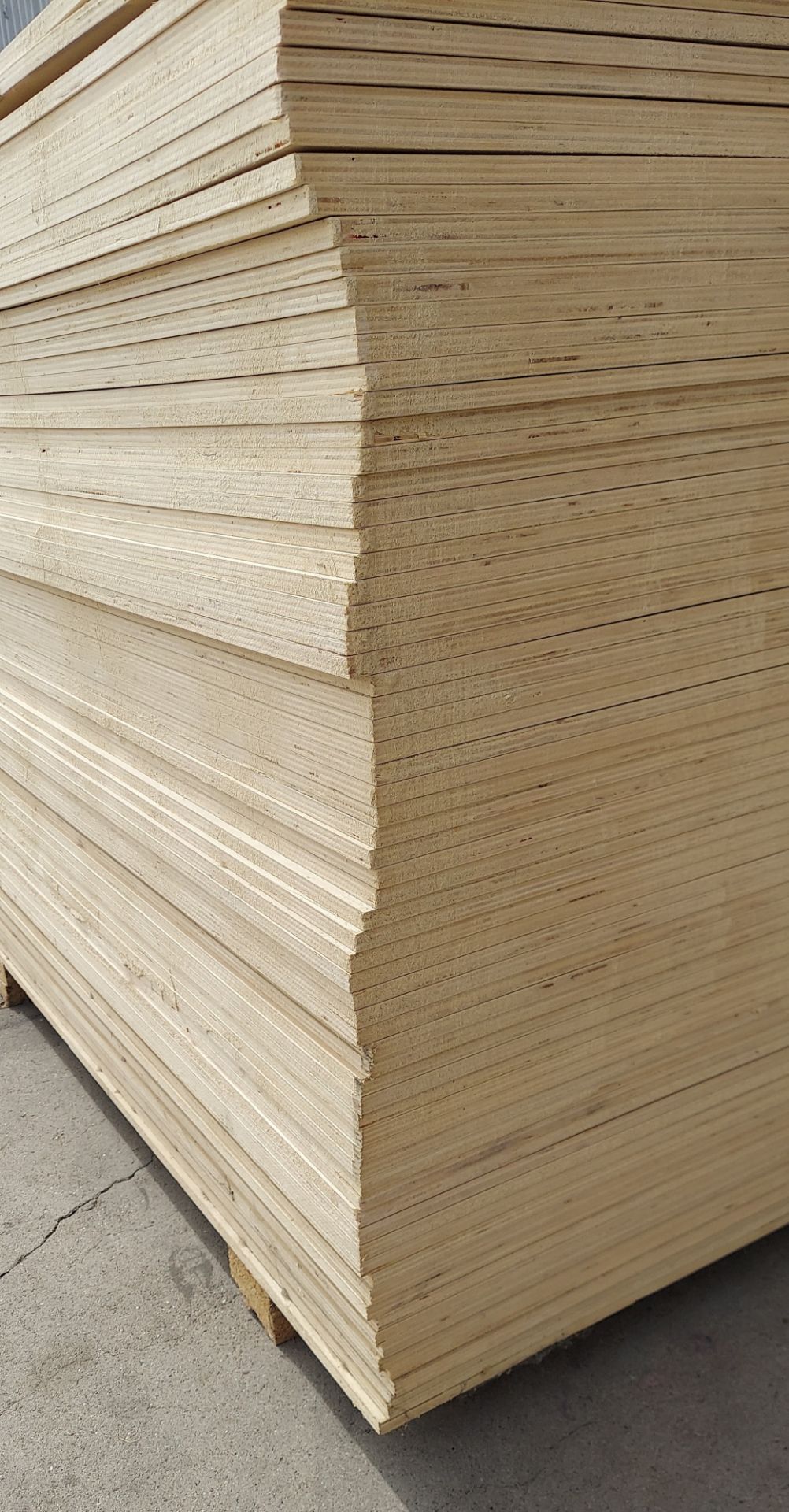 73 Sheets - 12mm (1/2) Birch Plywood 48" X 96" - Image 2 of 5