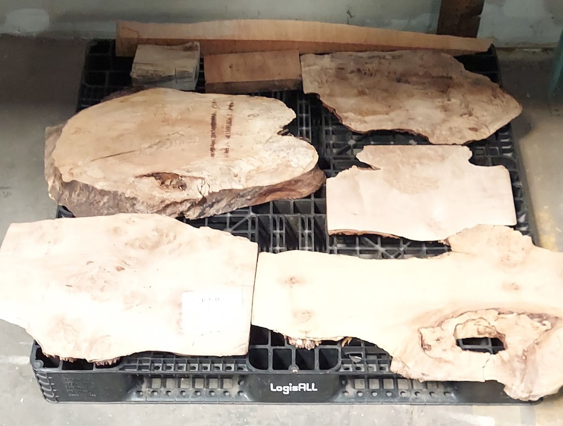 6 - Maple Hardwood Live Edge Boards, Burl & Curly (pallet not included)