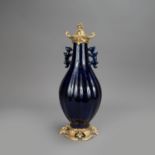 Chinese Porcelain Vase