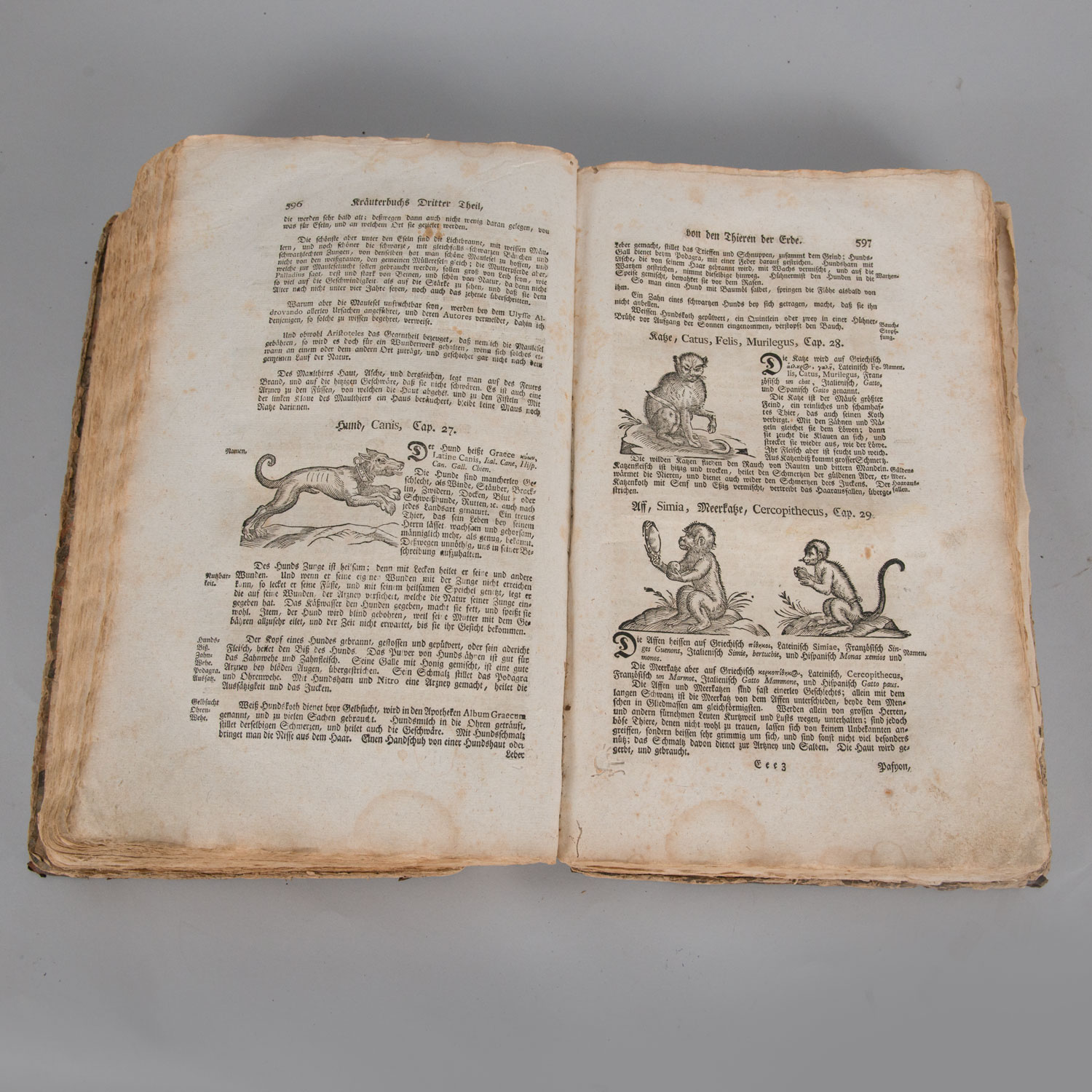 Kräuterbuch by Adam Lunicer Augsburg 1783 - Image 2 of 3
