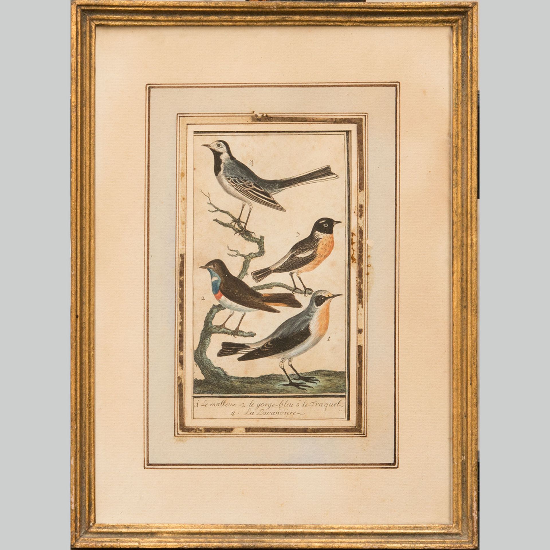 Two ornithological FIA - Image 2 of 3
