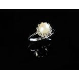 ANELLO IN ORO BIANCO CON PERLA E DIAMANTI
Anello in oro bianco 18k con perla coltivata calibro 7,20 