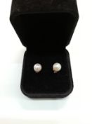 Paar Kulturperlen Ohrstecker