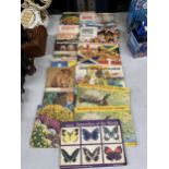 A COLLECTION OF TEA CARD ALBUMS TO INCLUDE BUTTERFLIES, SHIPS, PREHISTORIC ANIMALS, FLAGS, ETC -