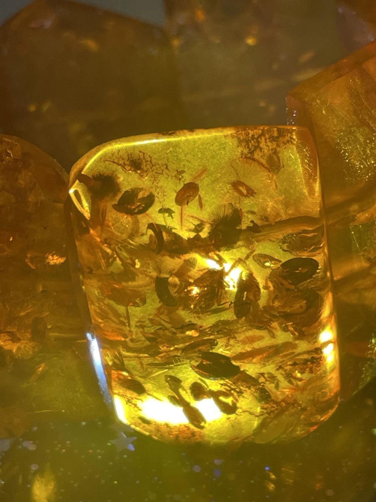 AN AMBER BRACELET CONSISTING OF EIGHT RECTANGULAR STYLE STONES - Bild 4 aus 5