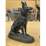 A VINTAGE BRONZE MODEL OF AN ALSATION DOG, SIGNED