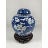 A LATE 19TH CENTURY CHINESE PORCELAIN PRUNUS BLOSSOM PATTERN GINGER JAR ON WOODEN BASE, DOUBLE