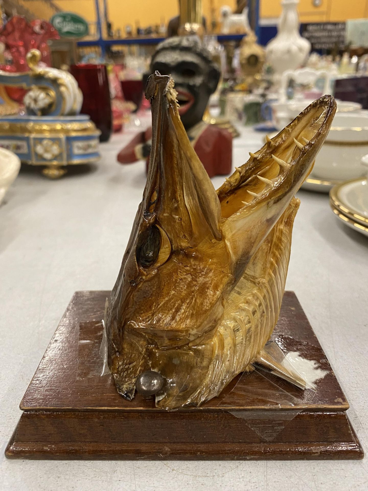 A TAXIDERMY FISHES HEAD MOUNTED ON A WOODEN PLINTH - Image 2 of 4