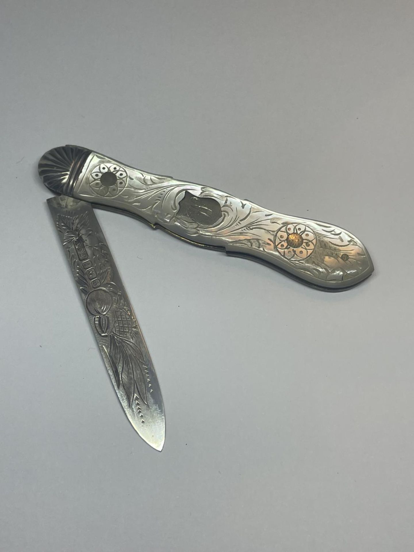 A HALLMARKED SHEFFIELD SILVER 1899 JGW AND MOTHER OF PEARL FRUIT KNIFE