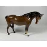 A ROYAL DOULTON BROWN GLOSS MARE FACING LEFT HORSE FIGURE