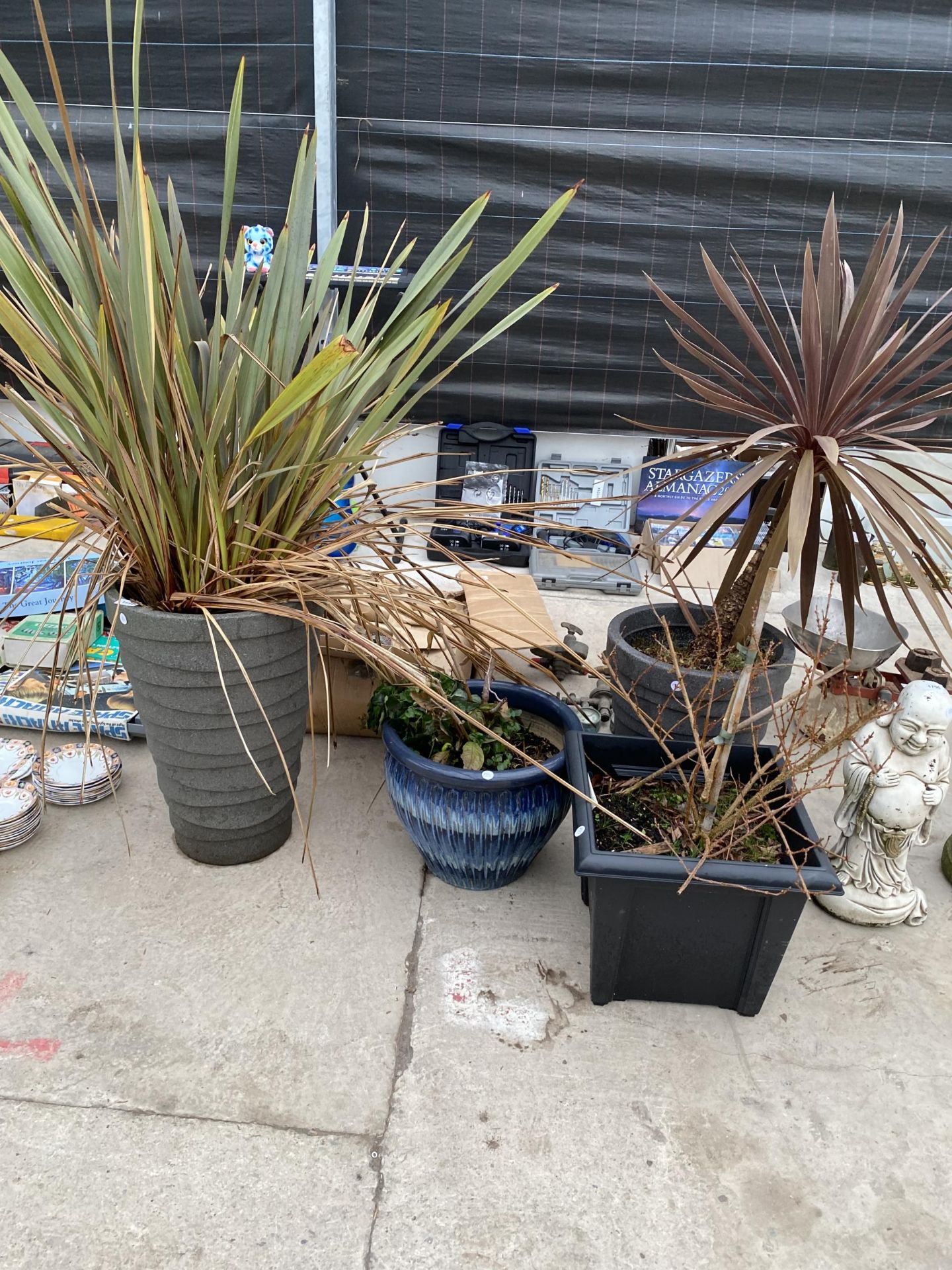 FOUR VARIOUS GARDEN PLANT POTS TO INCLUDE PLANTS