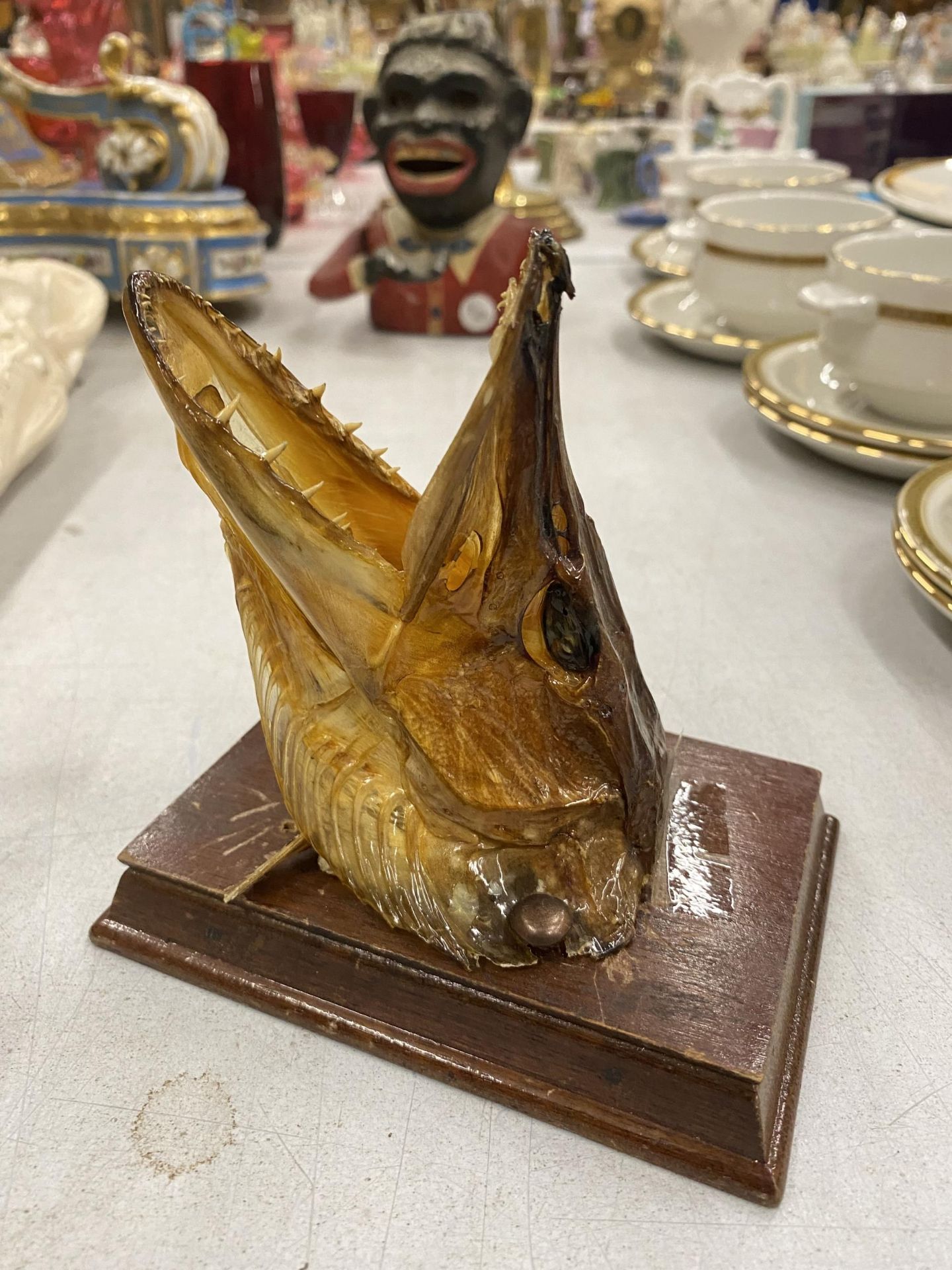 A TAXIDERMY FISHES HEAD MOUNTED ON A WOODEN PLINTH - Image 4 of 4