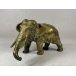 A CHINESE SOLID BRASS ELEPHANT FIGURE WITH CHINESE CHARACTER MARK TO FOOT, LENGTH 22CM