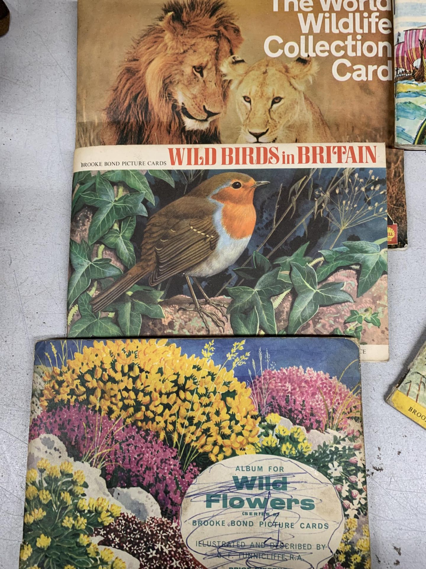 A COLLECTION OF TEA CARD ALBUMS TO INCLUDE BUTTERFLIES, SHIPS, PREHISTORIC ANIMALS, FLAGS, ETC - - Image 3 of 4