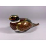 A ROYAL CROWN DERBY WOODLAND PHEASANT PAPERWEIGHT, GOLD STOPPER