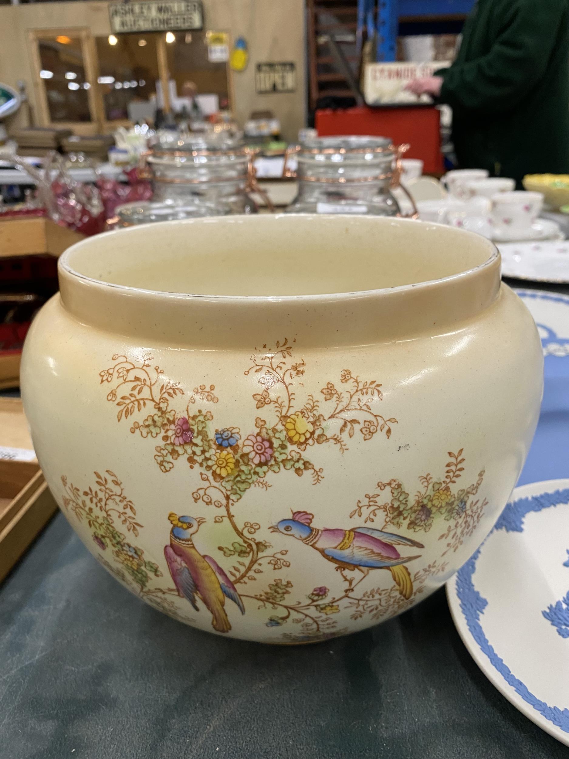 A LARGE CROWN DUCAL IVORY BLUSH BOWL WITH BUTTERFLY DECORATION DIAMETER 18.5CM AND A GEORGE JONES, - Bild 4 aus 5