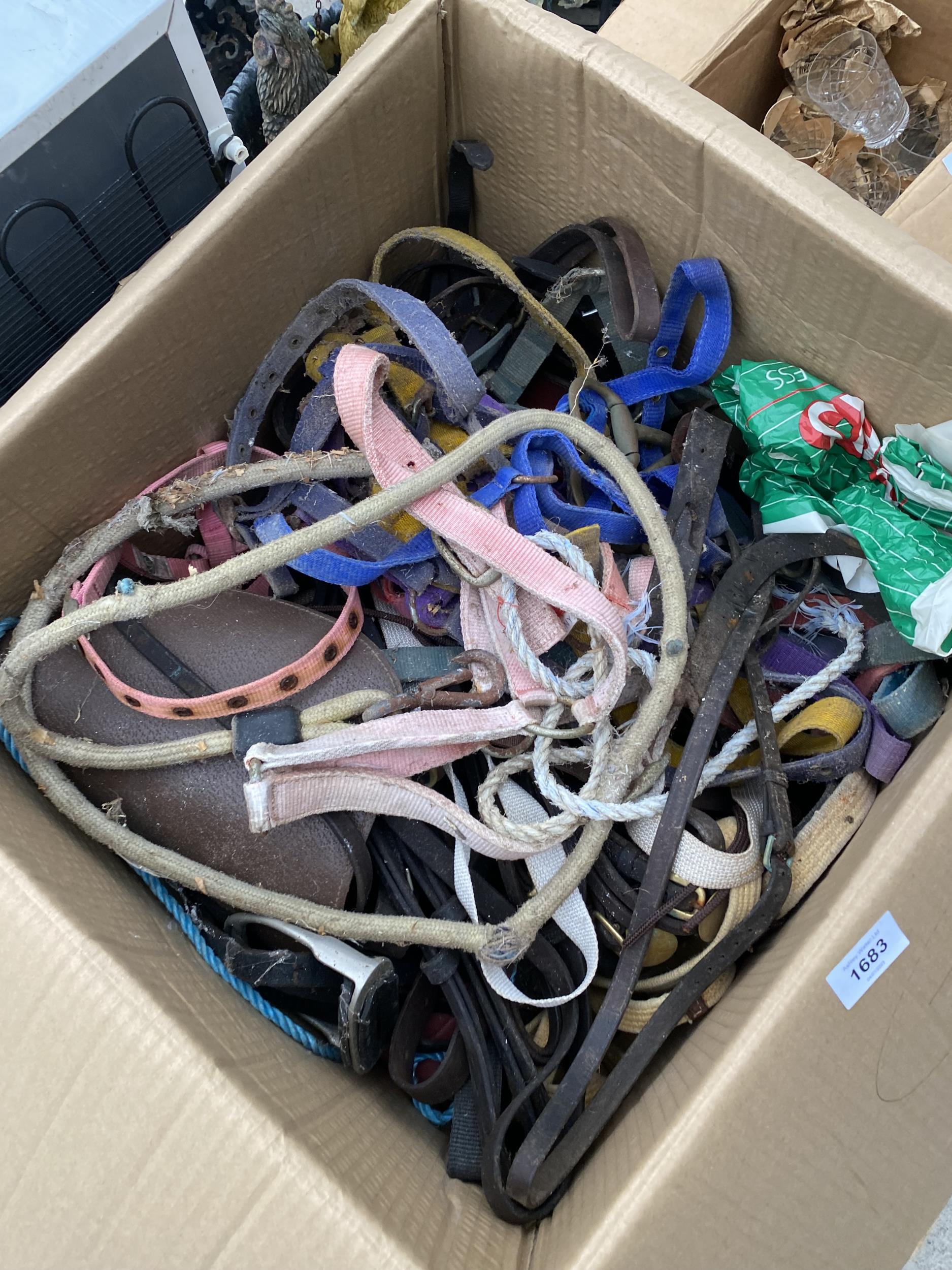 A LARGE QUANTITY OF HORSE TACK TO INCLUDE HEAD COLLARS AND LEAD ROPES ETC - Bild 2 aus 2