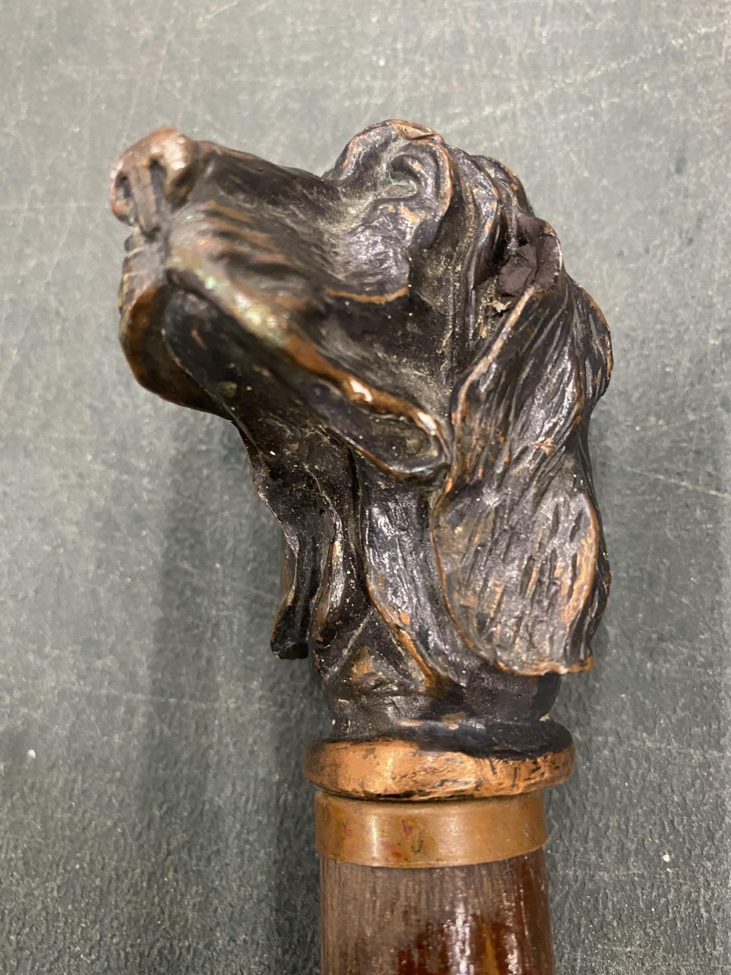 A VINTAGE WALKING CANE WITH A BRASS SPANIEL FINIAL - Image 2 of 3