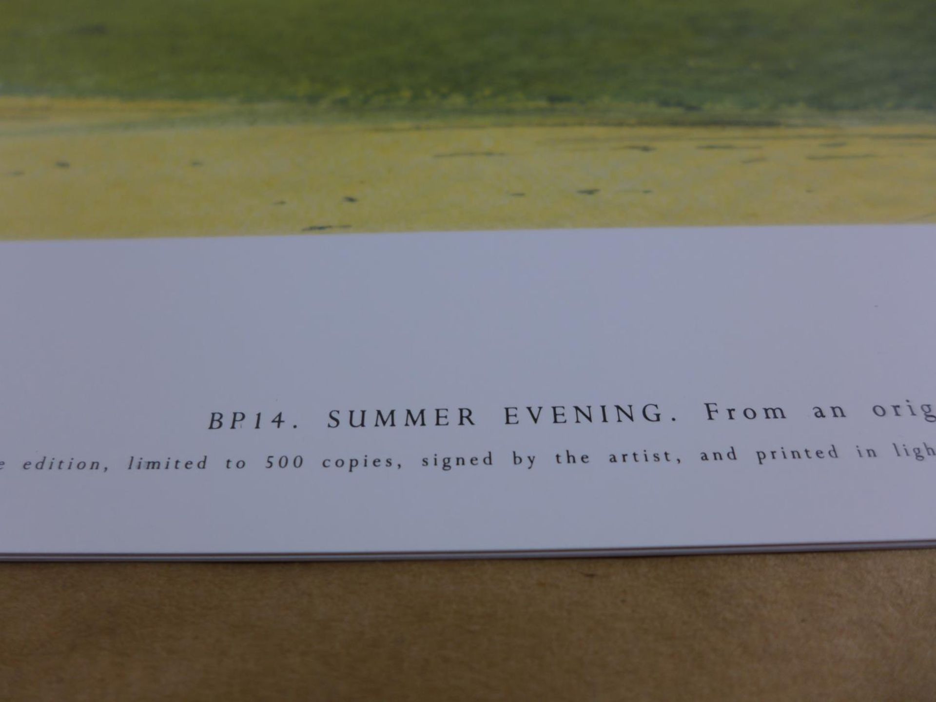 CHRIS JONES (BRITISH 20TH CENTURY) 'SUMMER EVENING', A COLLECTION OF APPROX 300 COLOURED PRINTS FROM - Image 2 of 3