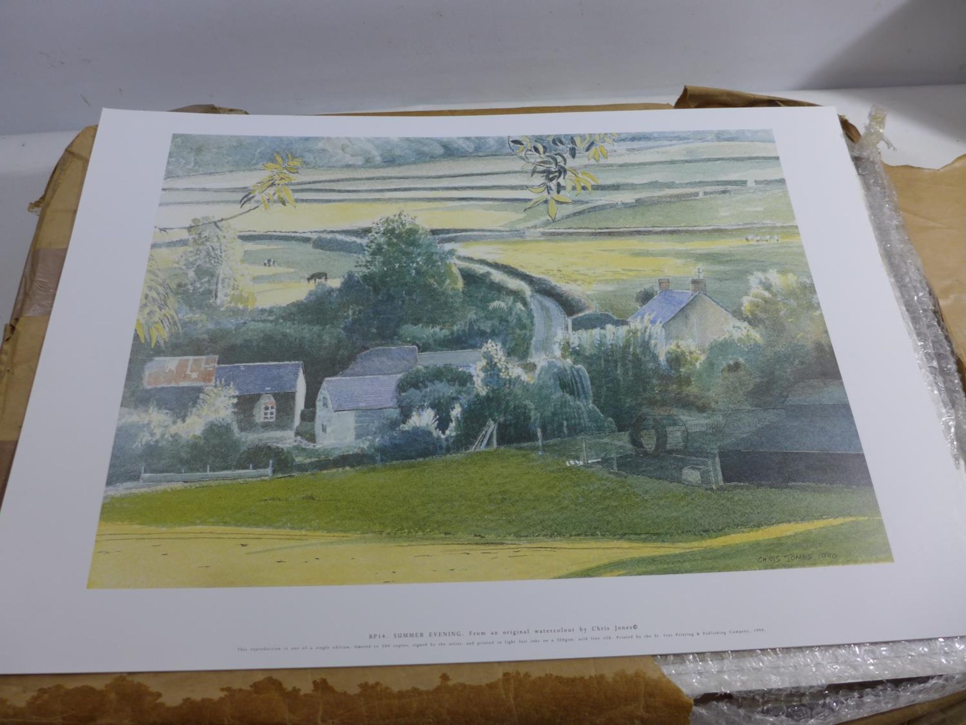 CHRIS JONES (BRITISH 20TH CENTURY) 'SUMMER EVENING', A COLLECTION OF APPROX 300 COLOURED PRINTS FROM