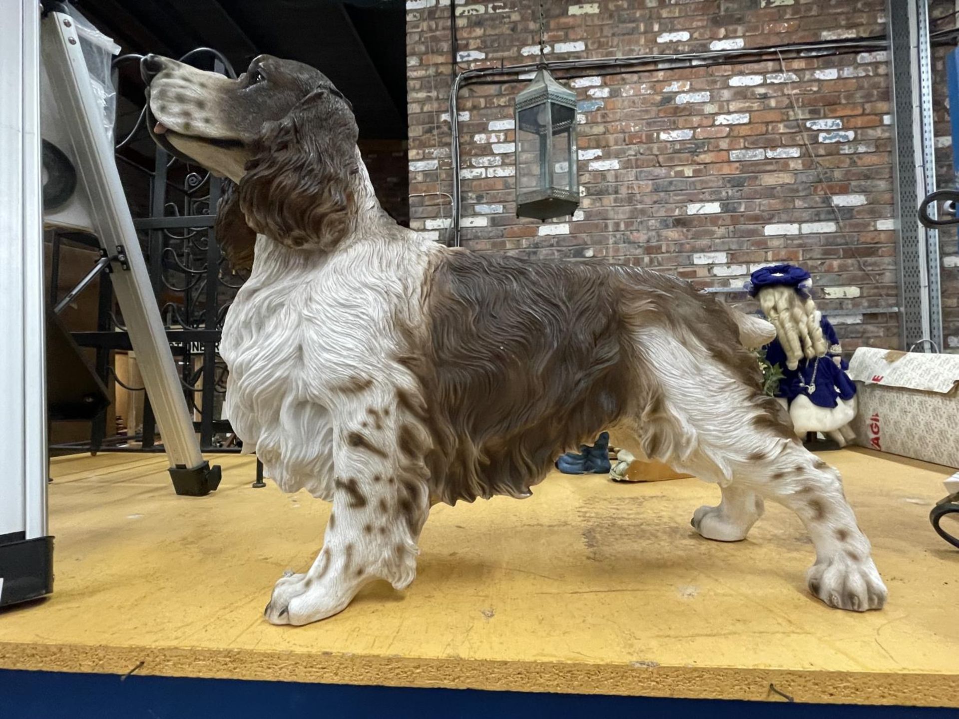 A LARGE RESIN MODEL OF A COCKER SPANIEL HEIGHT APPROX 46CM, LENGTH APPROX 67CM