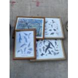 AN ASSORTMENT OF FRAMED BIRD PRINTS