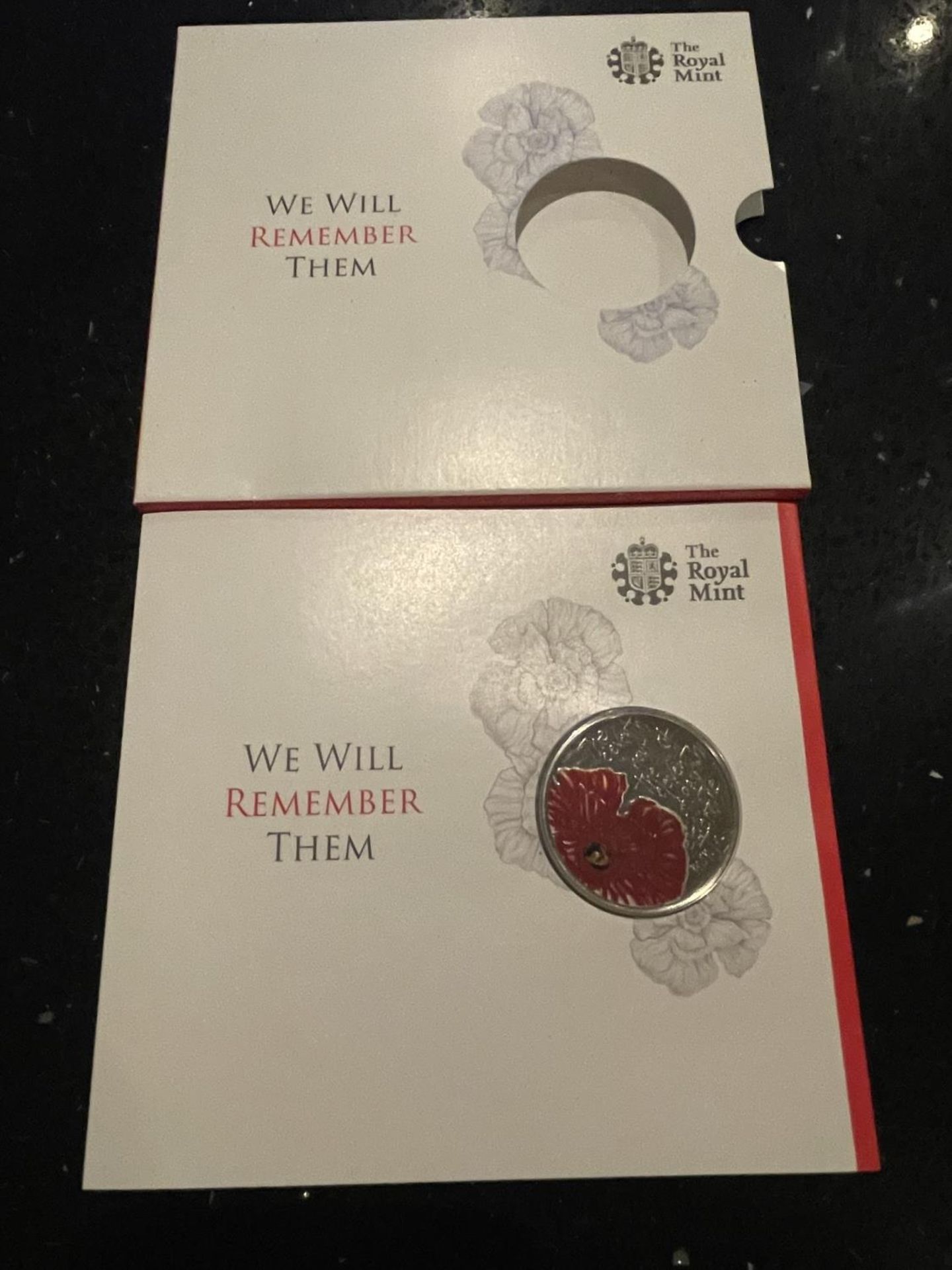 ALDERNEY , 2012 , “WE WILL REMEMBER THEM” , £5 COIN .