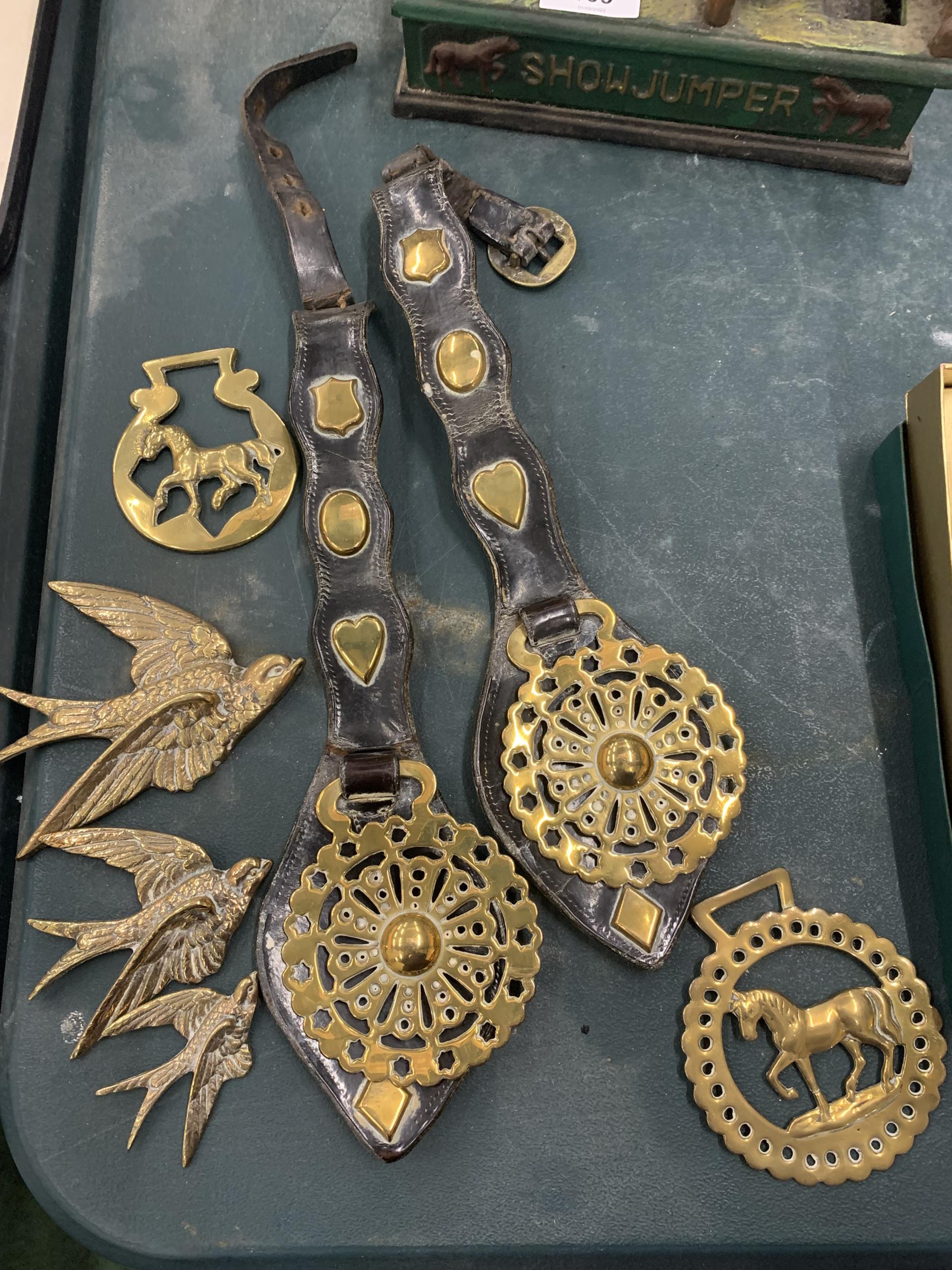 A QUANTITY OF HORSE BRASSES PLUS THREE GRADUATING BRASS SWIFT BIRDS