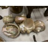 A COLLECTION OF ASSORTED MOTHER OF PEARL SHELLS
