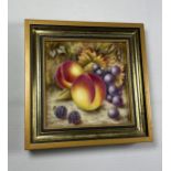 A ROYAL WORCESTER HAND PAINTED FRUIT & BERRIES PORCELAIN PLAQUE, SIGNED NIGEL CREED, 13 X 13CM