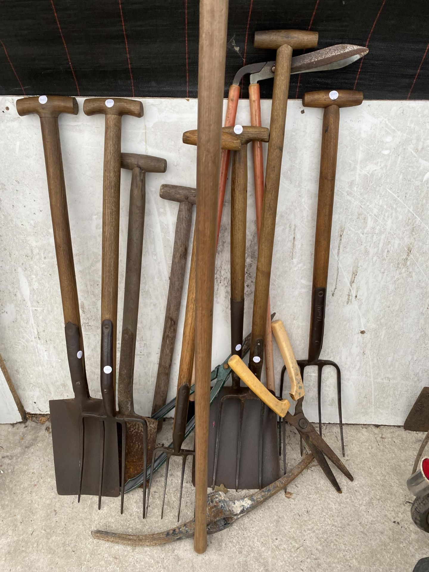 AN ASSORTMENT OF GARDEN TOOLS TO INCLUDE FORKS, SPADES AND A SHOVEL ETC - Image 2 of 3