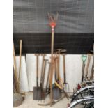 AN ASSORTMENT OF GARDEN TOOLS TO INCLUDE FORKS, SPADES AND A SHOVEL ETC