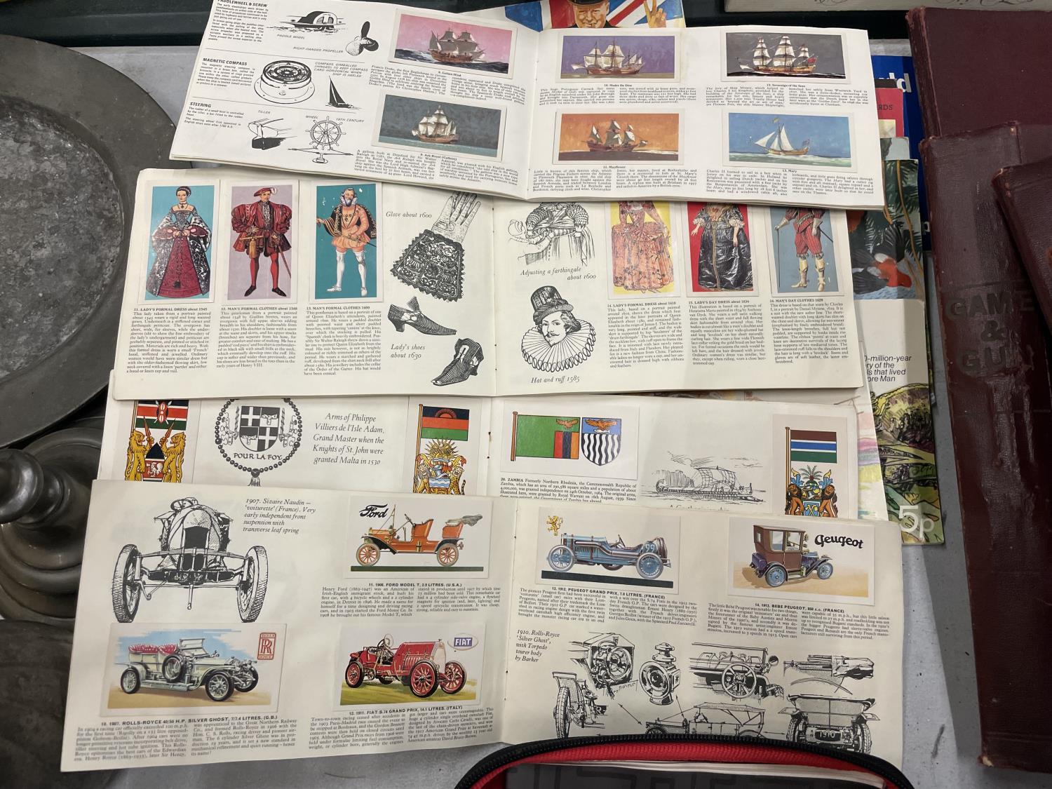 A LARGE QUANTITY OF BROOKE BOND PICTURE TEA CARDS IN ALBUMS TO INCLUDE THE MOTOR CAR, FLAGS, - Bild 2 aus 2