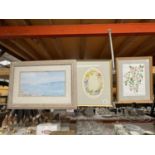 TWO FRAMED WATERCOLOURS OF FLOWERS PLUS A FRAMED BRENDA MITCHELL PRINT