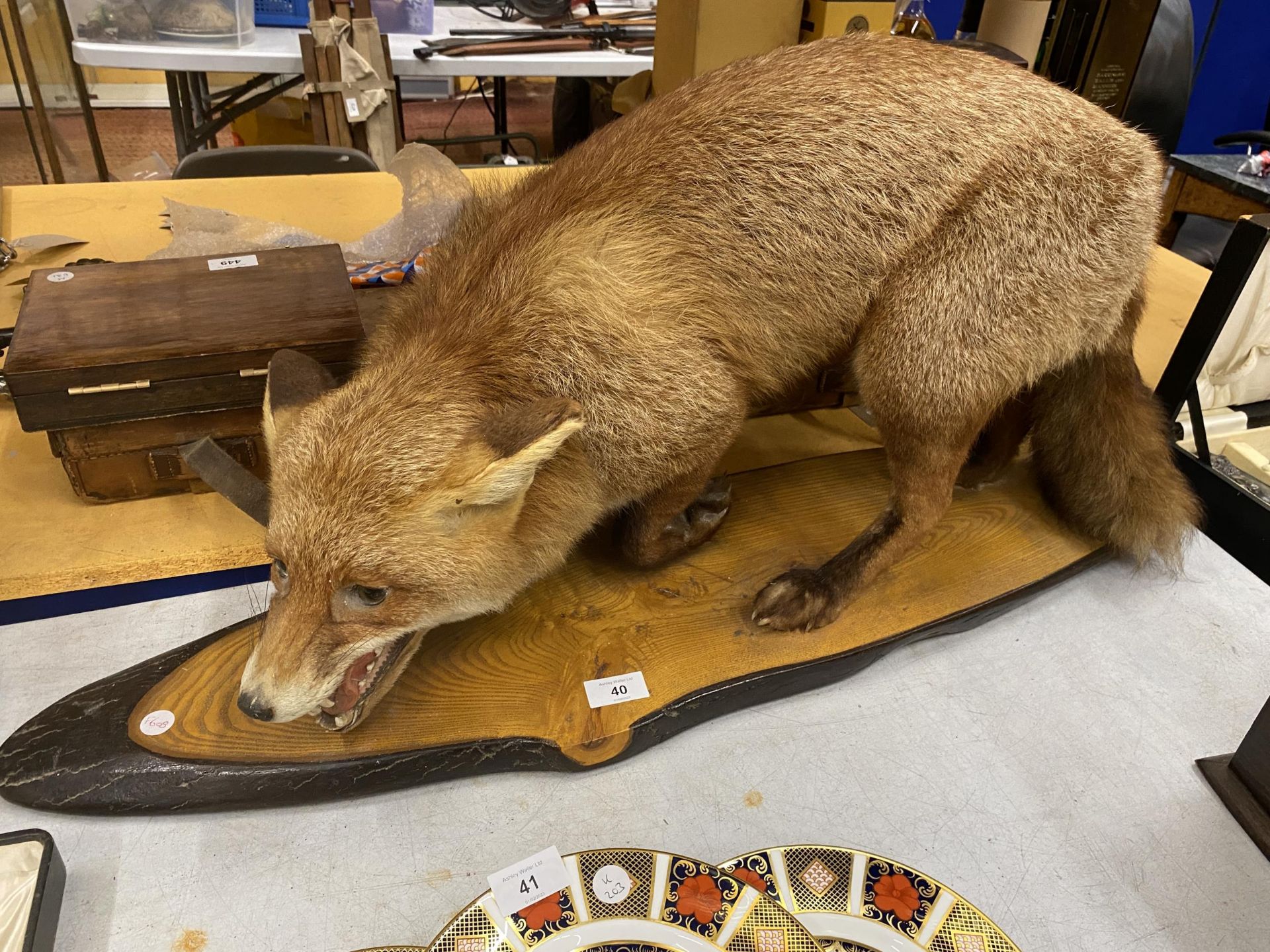 A VINTAGE TAXIDERMY MODEL OF A FOX ON WOODEN BASE, LENGTH OF BASE APPROXIMATELY 88CM