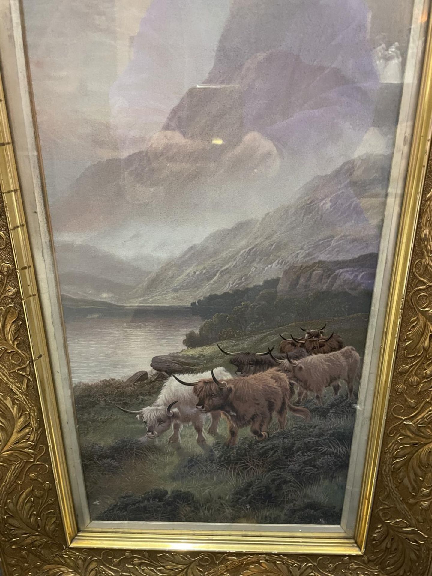 A PAIR OF ORNATELY GILT FRAMED PRINTS OF HIGHLAND CATTLE - Image 2 of 3